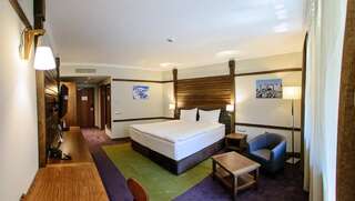 Отель Hot Springs Medical and SPA Баня Двухместный номер «Комфорт» с 1 кроватью или 2 отдельными кроватями-1