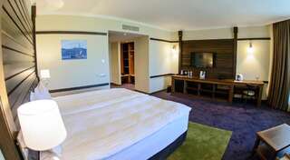 Отель Hot Springs Medical and SPA Баня Представительский двухместный номер с 1 кроватью или 2 отдельными кроватями-5