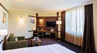 Отель Hot Springs Medical and SPA Баня Представительский двухместный номер с 1 кроватью или 2 отдельными кроватями-7